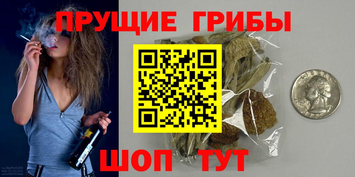 Псилоцибиновые грибы мухоморы Минеральные Воды