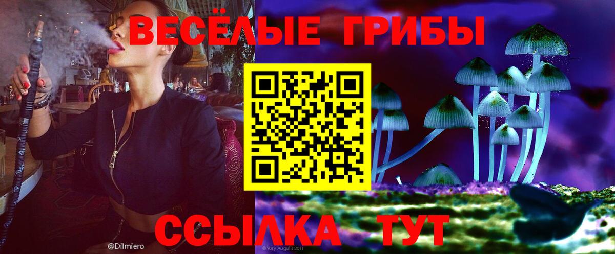 Минеральные Воды  Галлюциногенные грибы Psilocybe  Псилоцибиновые грибы Psilocybine cubensis  где купить наркоту  Вход с VPN 
